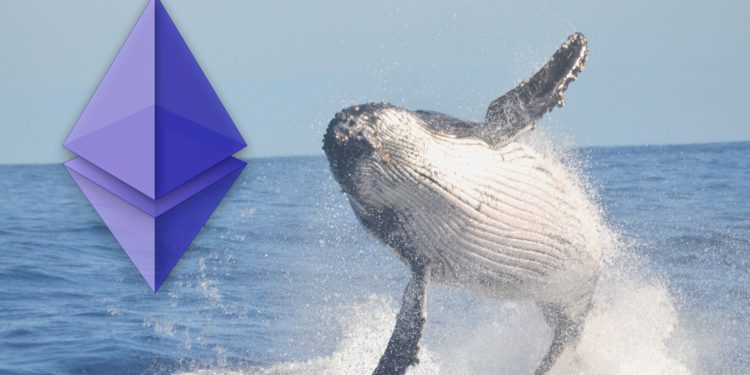 八年沒動！以太坊「創世巨鯨」出倉6.1萬枚ETH，獲利上看6109倍