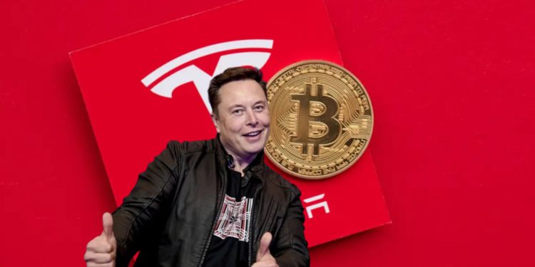 特斯拉Q2續抱比特幣！營收衝新高，卻因毛利率「盤後急挫4%」