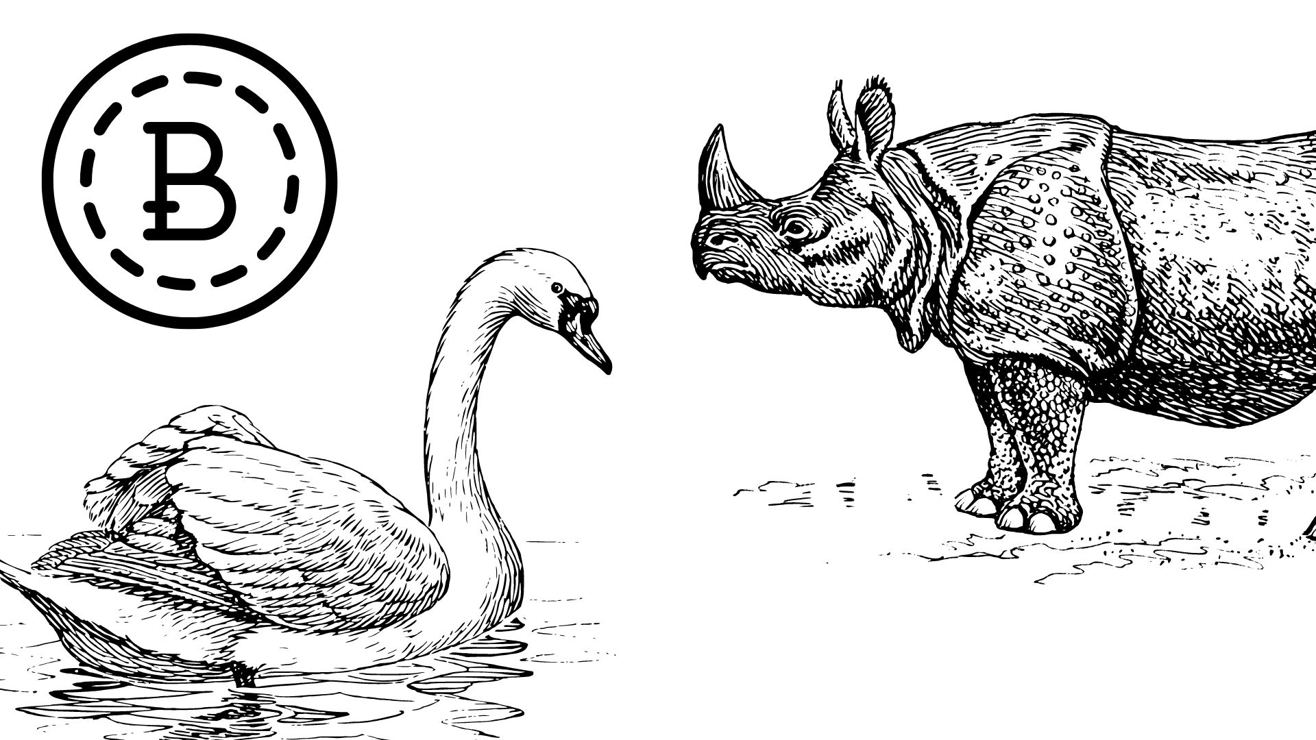 黑天鵝、灰犀牛是什麼？有何差異？如何躲開加密市場的下一次危機.. | 動區動趨-最具影響力的區塊鏈新聞媒體