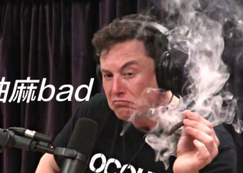 馬斯克抽大麻欠告！李菁琪律師：將依台灣法務部說法「告發世界首富」