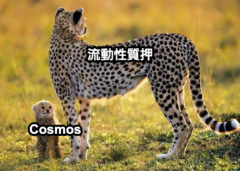 Luna崩盤後，LSDfi將如何拯救Cosmos？
