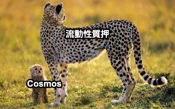 1693275126929 | 動區動趨-最具影響力的區塊鏈新聞媒體 Luna崩盤後,LSDfi將如何拯救Cosmos?