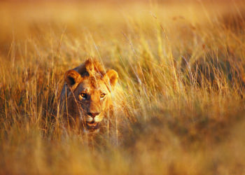 如何發現早期Alpha項目？從敘事軌跡切入…