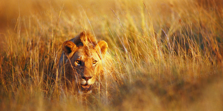 如何發現早期Alpha項目？從敘事軌跡切入…