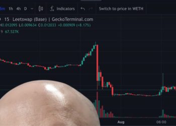 禿頭幣$BALD「一瀉千里」割韭菜分析：幕後黑手賺了多少？