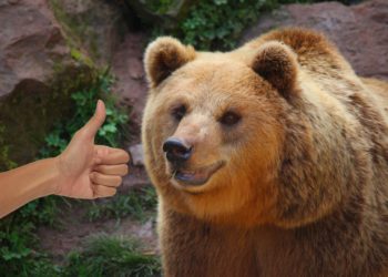 現在是歷史上最好的熊市！Standard Crypto：加密發展太多元了