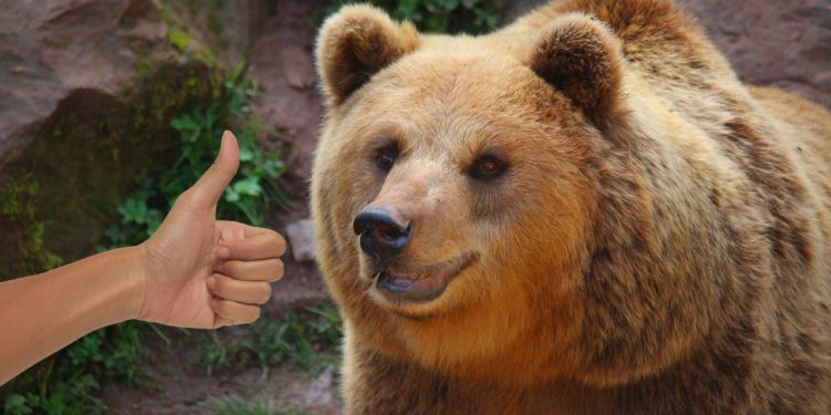 現在是歷史上最好的熊市！Standard Crypto：加密發展太多元了