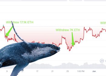 看漲？一巨鯨3個月囤幣42,800枚ETH、以太坊插針1700美元
