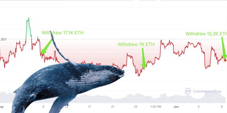 eth whale 2 | 動區動趨-最具影響力的區塊鏈新聞媒體 看漲?一巨鯨3個月囤幣42,800枚ETH、以太坊插針1700美元