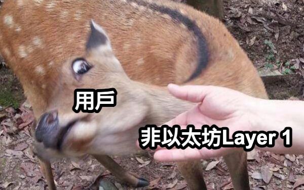 以太坊Layer2橫掃江湖，其他Layer1還能放光芒？