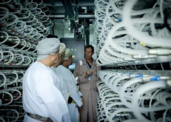 阿拉伯》阿曼不讓阿聯酋搶先，投資11億鎂建設加密挖礦中心