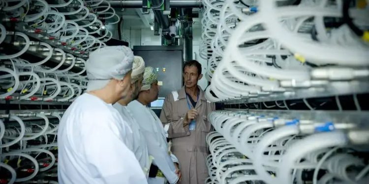 阿拉伯》阿曼不讓阿聯酋搶先，投資11億鎂建設加密挖礦中心