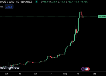 USDT在阿根廷暴漲？候選人主張「關閉央行、美元化、救披索…」