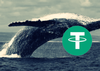 Tether遭爆是比特幣「第11大巨鯨」持倉破5.5萬枚BTC，Q2再加倉4500萬鎂