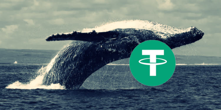 Tether遭爆是比特幣「第11大巨鯨」持倉破5.5萬枚BTC，Q2再加倉4500萬鎂