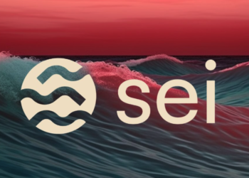 Sei用戶最在意的：代幣經濟學