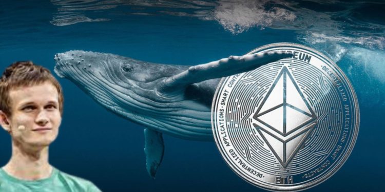 未命名設計 2 | 動區動趨-最具影響力的區塊鏈新聞媒體 市場暴跌兩樣情!巨鯨抄底17,901枚ETH,V神卻反向試賣600以太坊..