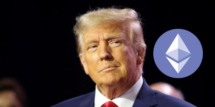 財務文件：美國前總統川普持有「25萬美元加密貨幣」！NFT交易破2600萬鎂