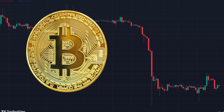 市場快讀》Nvidia陪美股全線跳水；比特幣無短期利好、投資人止步觀望