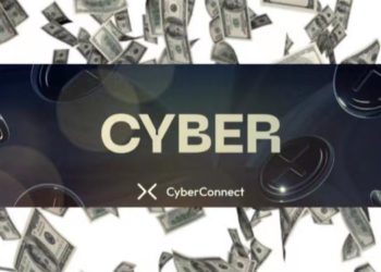 CYBER治理鬧劇：一人通過提案干預「泡菜溢價」，幣價瞬間腰斬