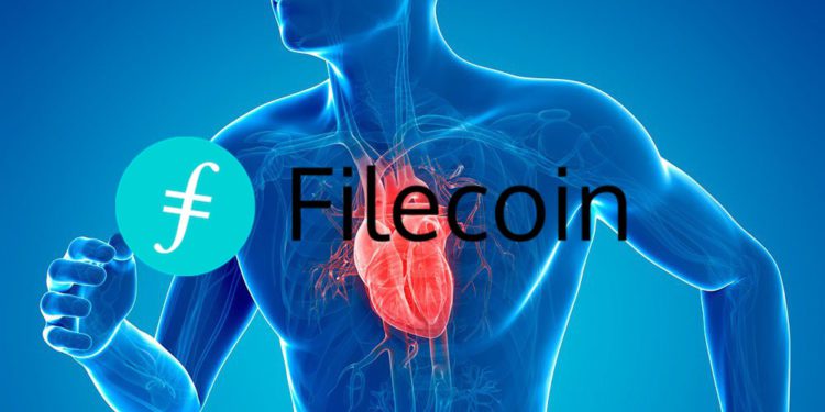 2367708 | 動區動趨-最具影響力的區塊鏈新聞媒體 Filecoin打入科研界!獲澳洲Victor Chang心臟研究所採用