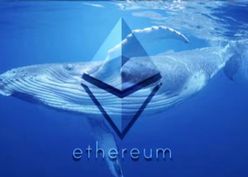 巨鯨解讀》8月爆跌後「已抄底9萬ETH」，價值約1.48億鎂