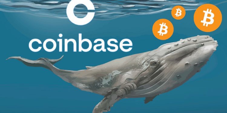 Arkham情報：Coinbase持有近100萬枚比特幣「中本聰級存量」