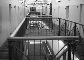 監獄囚犯變成AI訓練員？芬蘭被批剝削勞力