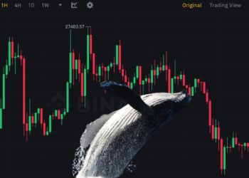 不足100枚BTC地址創歷史新高，但巨鯨正持續拋售？比特幣一度下探2.6萬