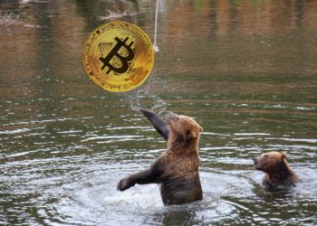 Web3行銷如何逆風起勢：別忘了增長平台