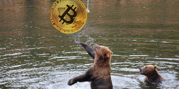 Web3行銷如何逆風起勢：別忘了增長平台