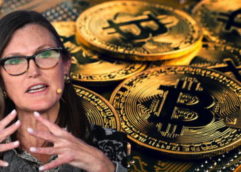 ARK方舟投資：比特幣牛市「短期內不會發生」，宏觀經濟走下坡