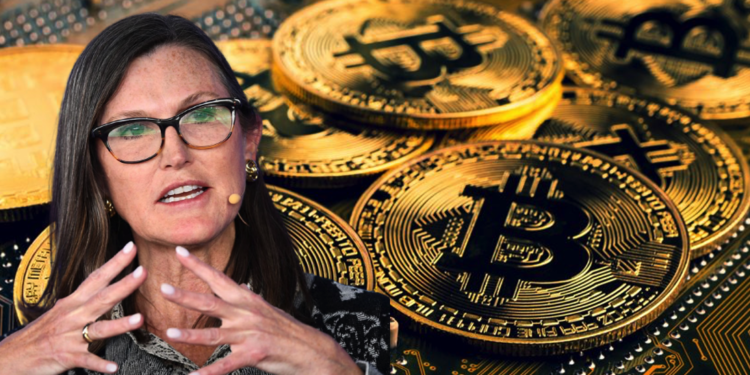 ARK方舟投資：比特幣牛市「短期內不會發生」，宏觀經濟走下坡