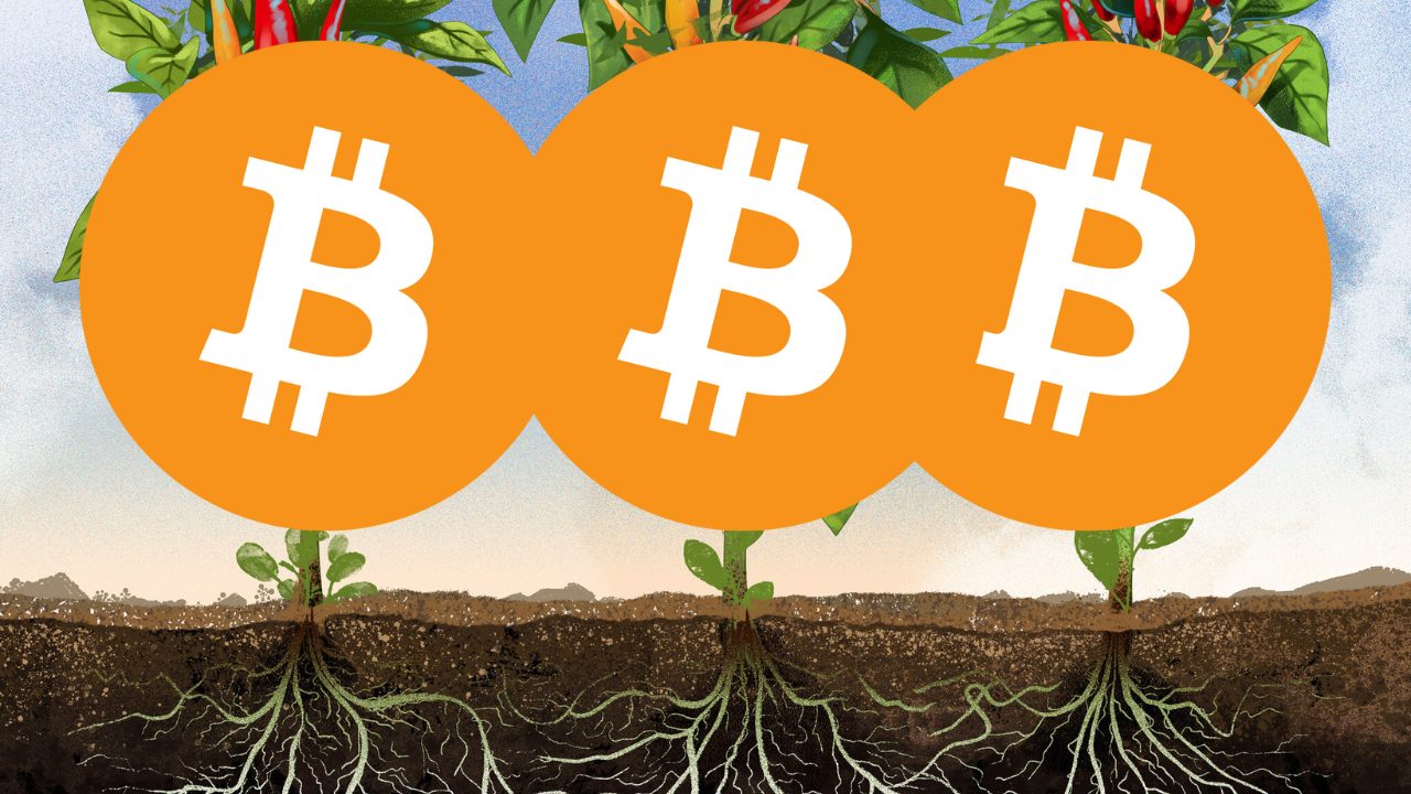 可在比特幣網路發穩定幣！閃電網路Taproot Assest如何實現真BRC-20 | 動區動趨-最具影響力的區塊鏈新聞媒體