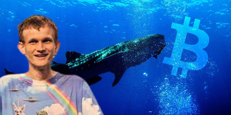 大行情來了？V神向交易所轉入千萬枚USDC、巨鯨槓桿買入逾1.3萬枚stETH