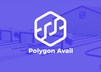 Polygon聯合創辦人「單飛自幹」，一覽 Avail 的資料可用性願景