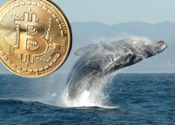 沈睡9年，多隻 BTC 巨鯨同時甦醒？已轉 6,300 顆比特幣，價值達 1.77 億美元