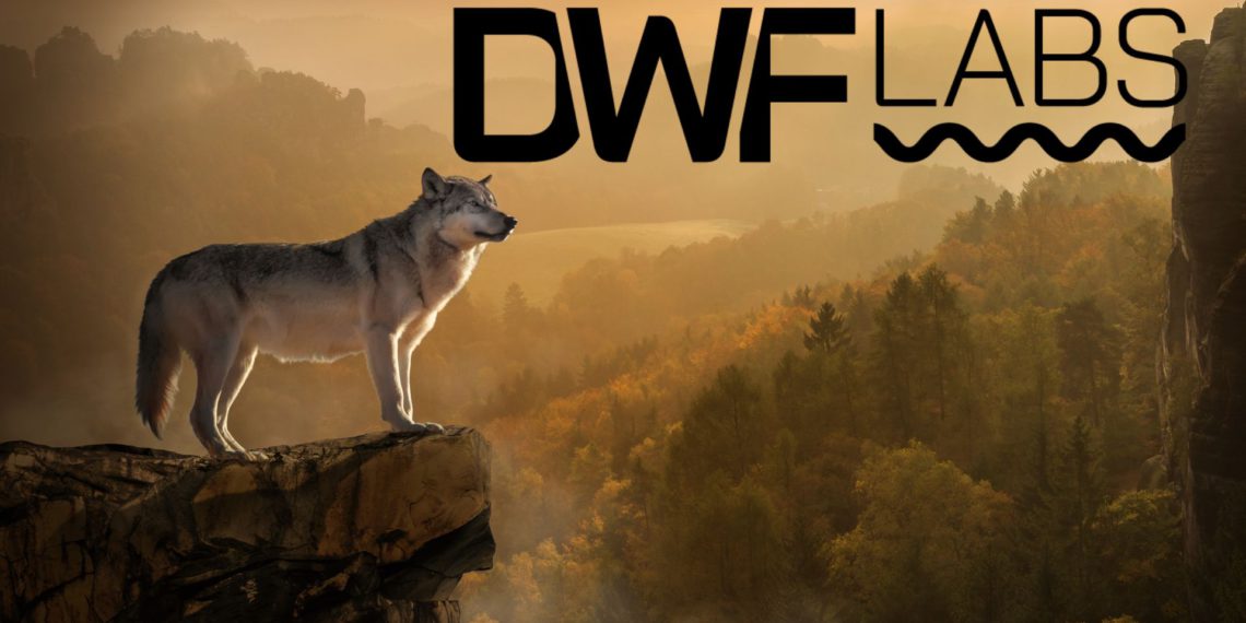 LD Capital：拆解DWF業務邏輯，我們該如何「與狼共舞」？