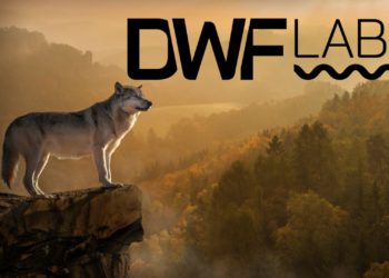 LD Capital：拆解DWF業務邏輯，我們該如何「與狼共舞」？