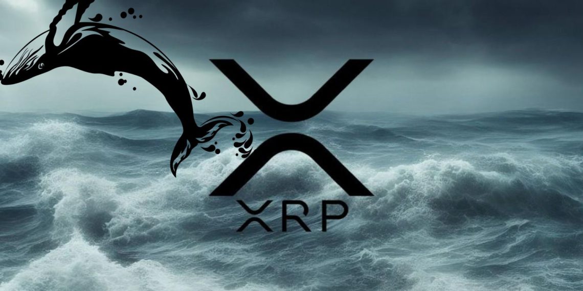 瑞波官方轉移7千萬顆XRP至未知錢包！巨鯨跟進倒貨4億顆？
