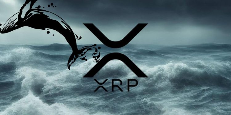 xrp 官方轉移 | 動區動趨-最具影響力的區塊鏈新聞媒體 瑞波官方轉移7千萬顆XRP至未知錢包!巨鯨跟進倒貨4億顆?