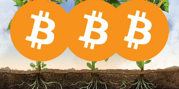 可在比特幣網路發穩定幣！閃電網路Taproot Assest如何實現真BRC-20