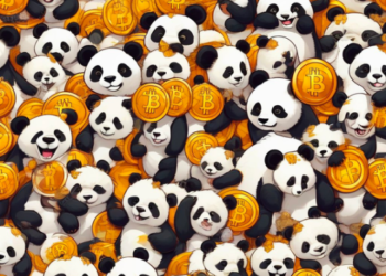 投資時，為什麼要把比特幣當做熊貓？