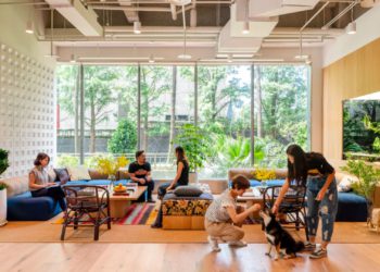 共享辦公室WeWork爆出破產，市值蒸發99%！台灣多間加密新創曾入駐：Steaker..