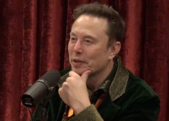 馬斯克狠酸NFT：圖片沒上區塊鏈！比特幣社群超譯「他看好Ordinals」