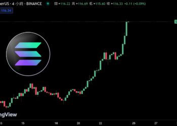 SOL單日漲逾20%飆破118美元！超車 BNB 登市值第 4 大加密貨幣