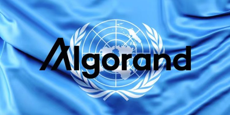 聯合國結盟公鏈Algorand設「區塊鏈學院」，加強關注數位身份、現實世界資產（RWA）代幣化