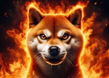 BONK暴漲背後的做市商Gotbit，計畫在Solana再掀風浪？