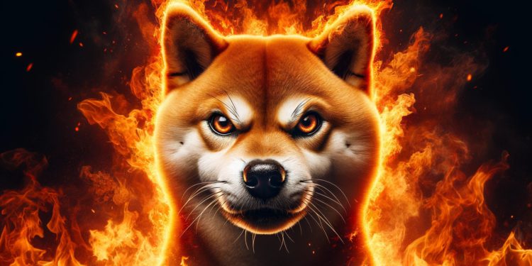 DALLE 2023-12-27 165925 - a close-up of a very angry-looking Shiba Inu with an intensified expression of fury surrounded by intense flames The image should have a 4_25 aspe | 動區動趨-最具影響力的區塊鏈新聞媒體 BONK暴漲背後的做市商Gotbit,計畫在Solana再掀風浪?