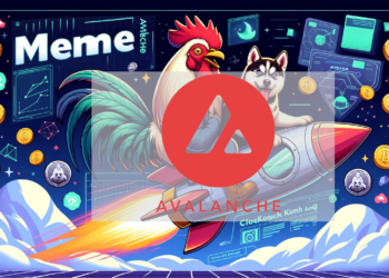 Avalanche基金會買入迷因幣！KIMBO、HUSKY狗系迷因幣飆漲超60%